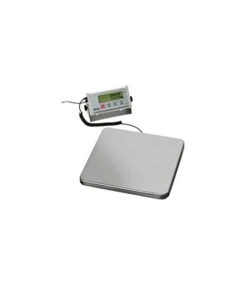 Balance électronique Digitale