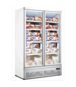 Congélateur 2 Portes En Verre Battantes Coloris Gris