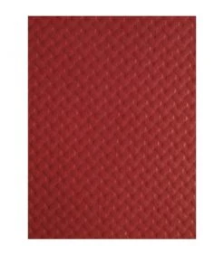 Lot De 500 Sets De Table Jetables Bordeaux 300 X 400 Mm