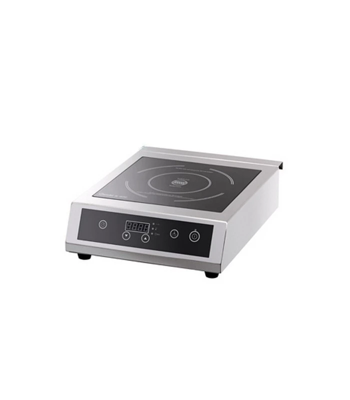 Plaque Ă Induction Professionnelle â Image 5