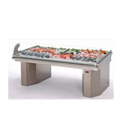 Présentoir Réfrigéré à Poissons