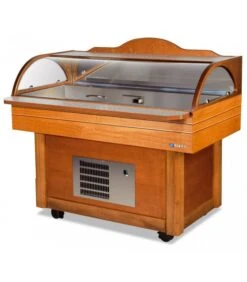 Vitrine Réfrigérée à Poissons